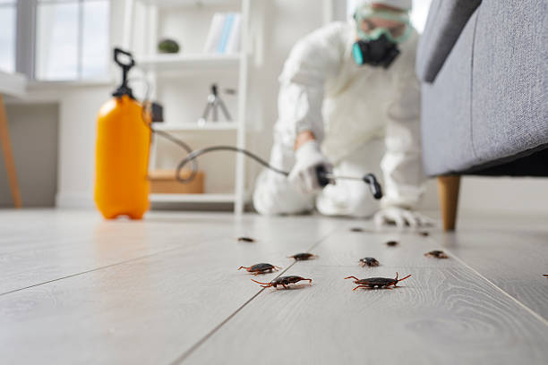 Commercial Kitchen Cockroach Control in Parchment